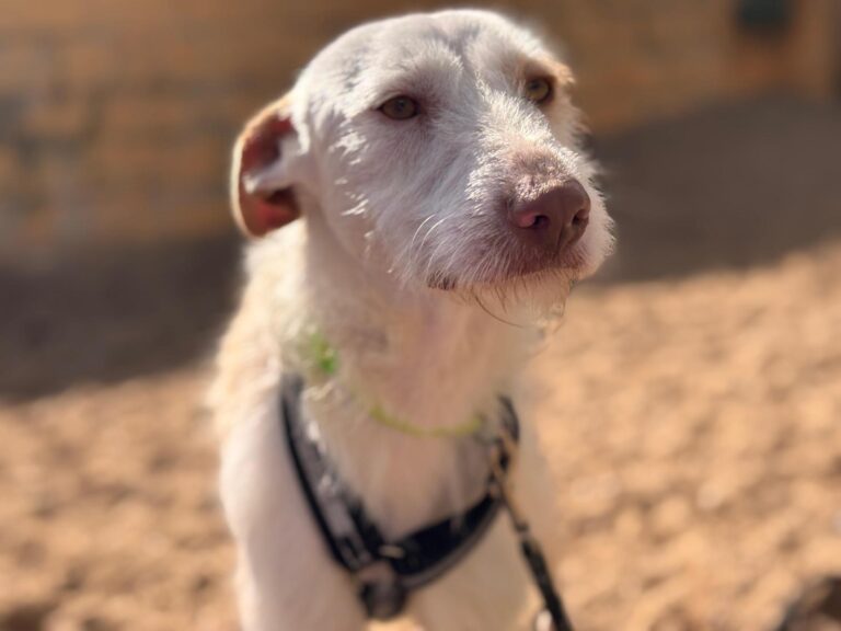 multimedia-foto92987-720-1