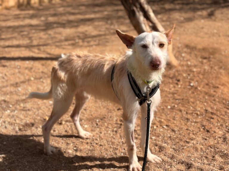 multimedia-foto92988-720-1