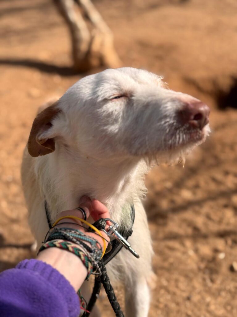 multimedia-foto92989-720-1