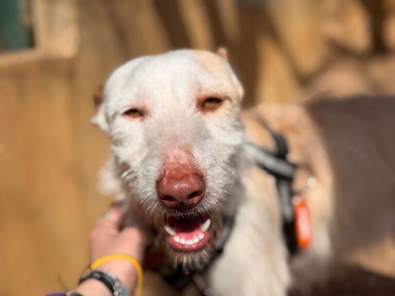 multimedia-foto92990-721-1