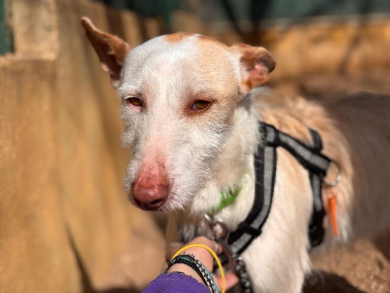 multimedia-foto92991-721-1