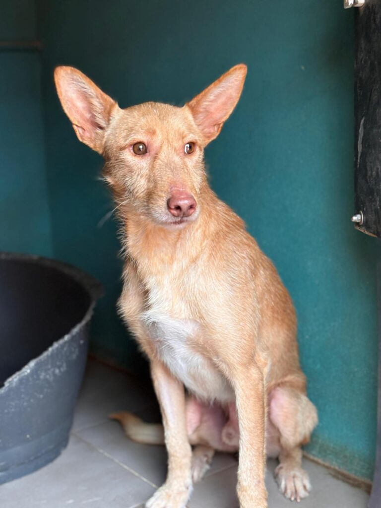 multimedia-foto93003-844-1