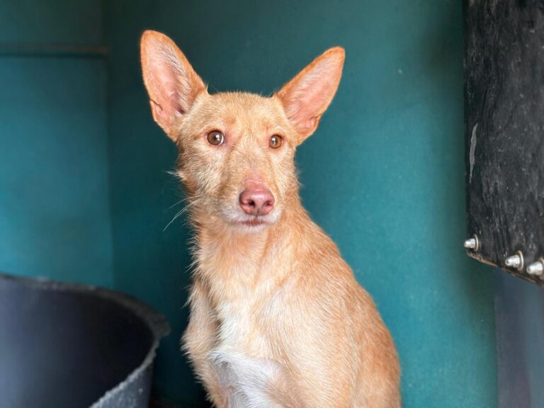 multimedia-foto93004-845-1