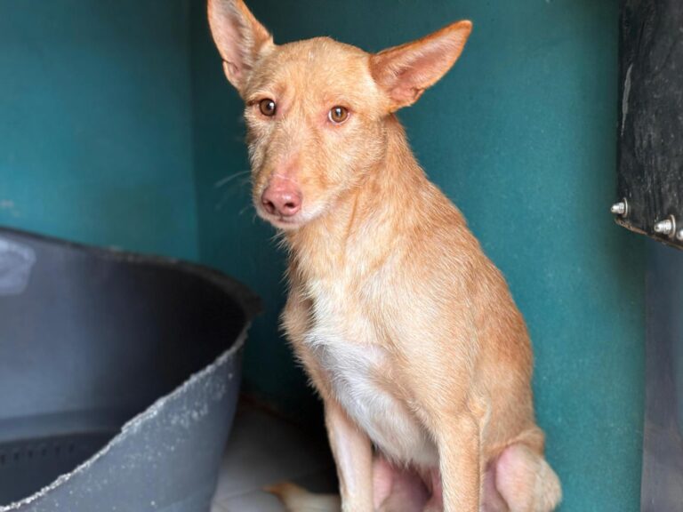 multimedia-foto93005-845-1