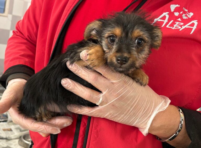 multimedia-foto93023-789-1