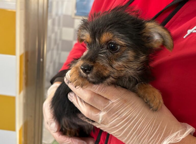 multimedia-foto93025-789-1