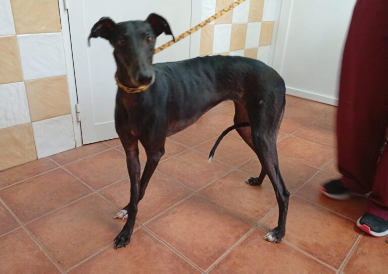 multimedia-foto93041-354-1