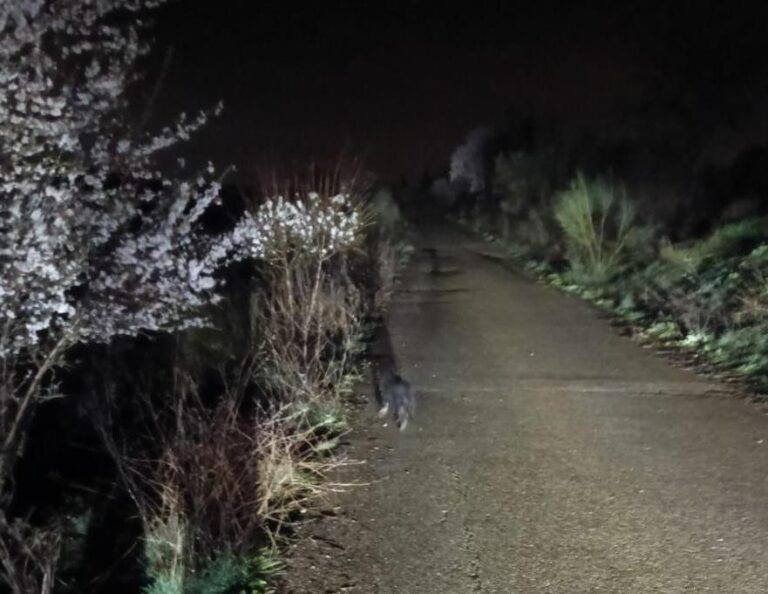 multimedia-foto93045-765-1