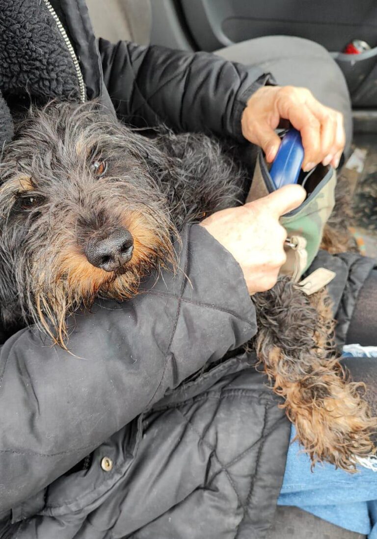 multimedia-foto93046-766-1