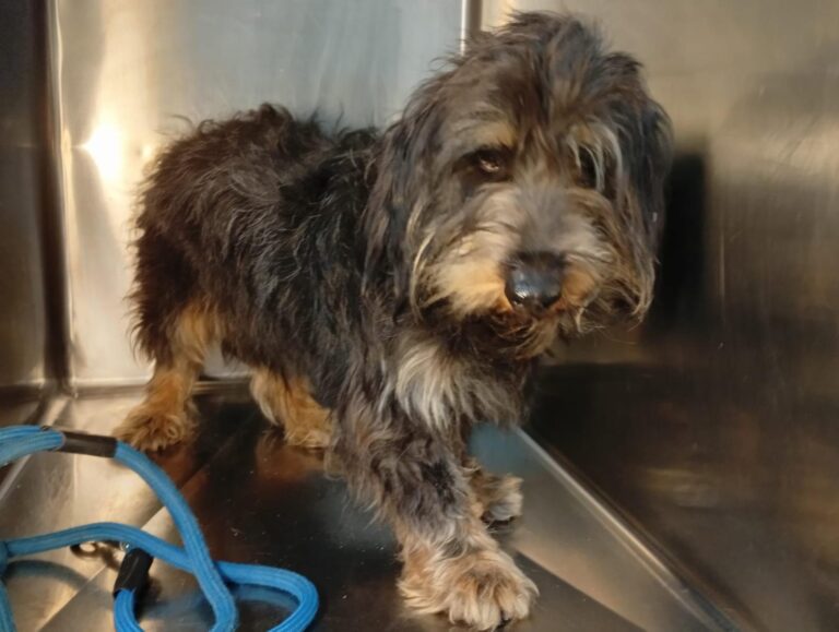 multimedia-foto93047-766-1