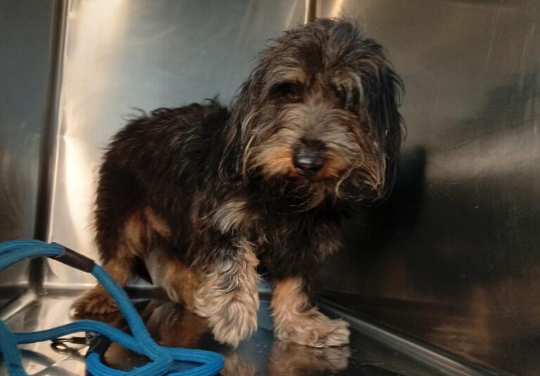 multimedia-foto93048-766-1