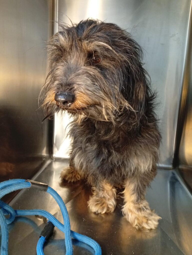 multimedia-foto93049-767-1