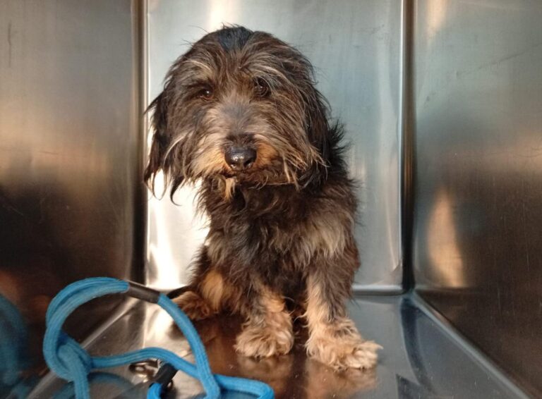 multimedia-foto93052-767-1