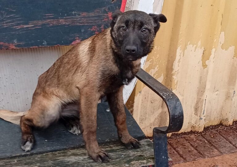 multimedia-foto93057-560-1