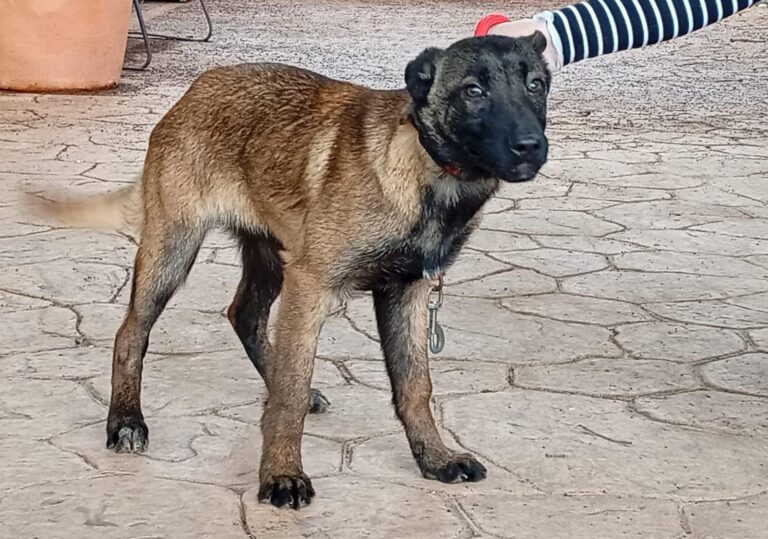 multimedia-foto93058-560-1