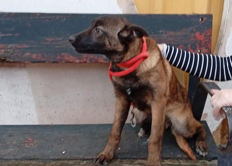 multimedia-foto93059-560-1