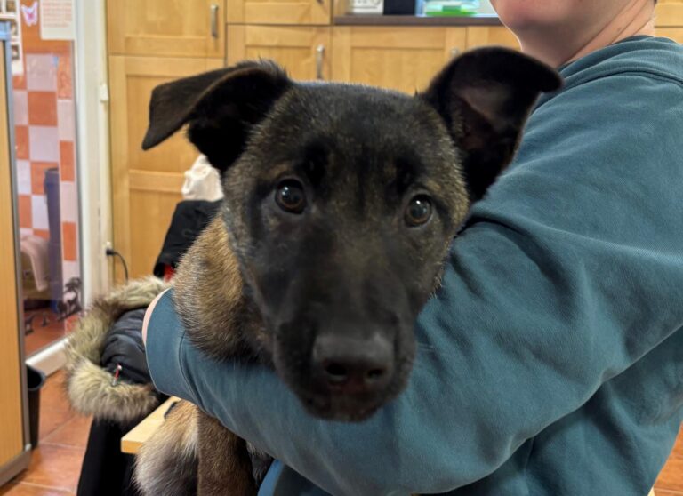 multimedia-foto93062-561-1