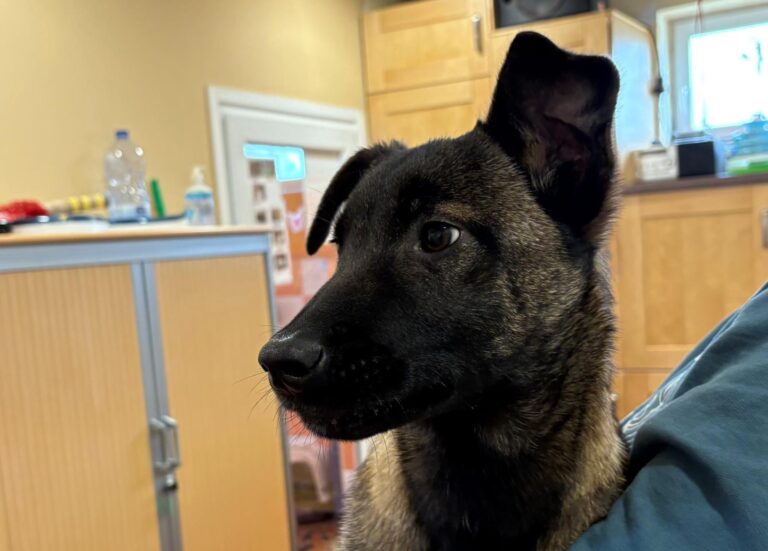 multimedia-foto93063-561-1