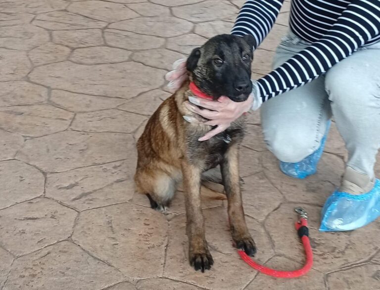 multimedia-foto93064-562-1