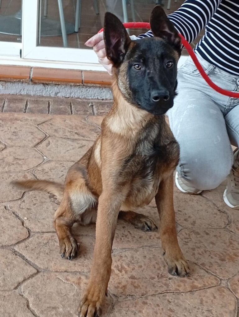 multimedia-foto93067-8-1