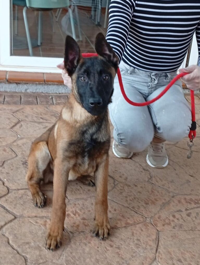 multimedia-foto93068-8-1