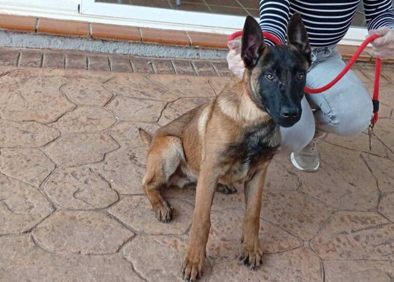 multimedia-foto93069-8-1