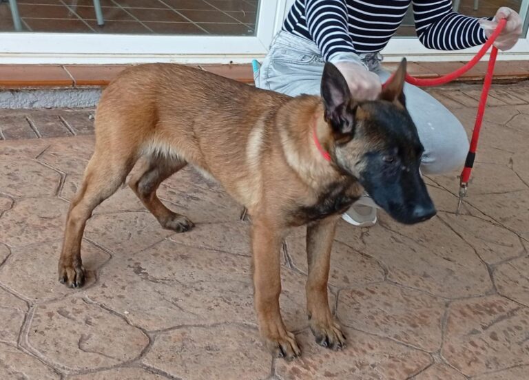 multimedia-foto93070-8-1