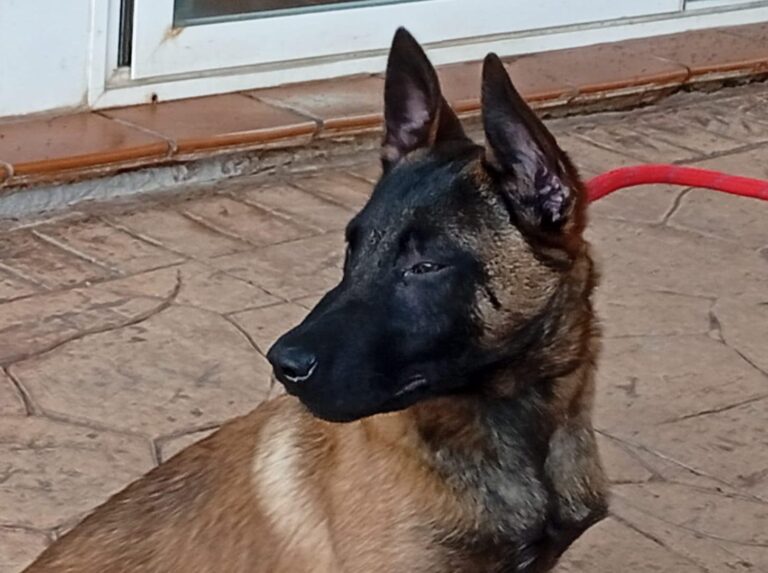 multimedia-foto93071-9-1