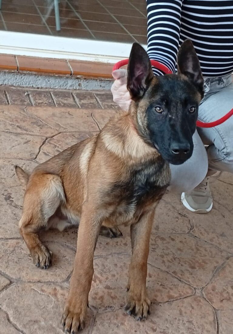 multimedia-foto93073-9-1