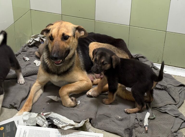 multimedia-foto93122-967-1