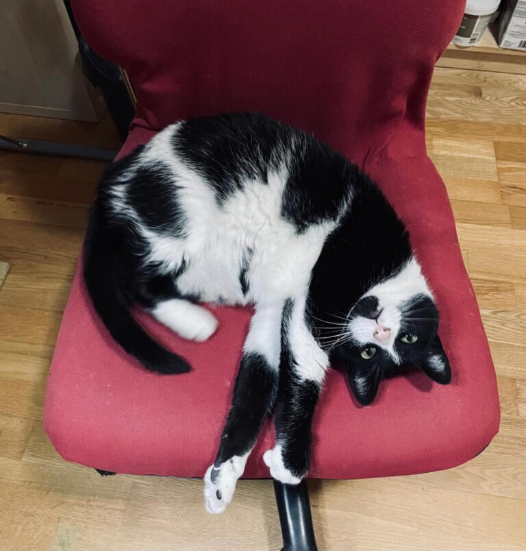 multimedia-foto93183-987-1