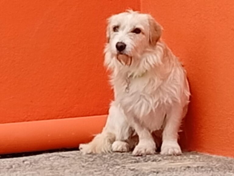 multimedia-foto93191-276-1