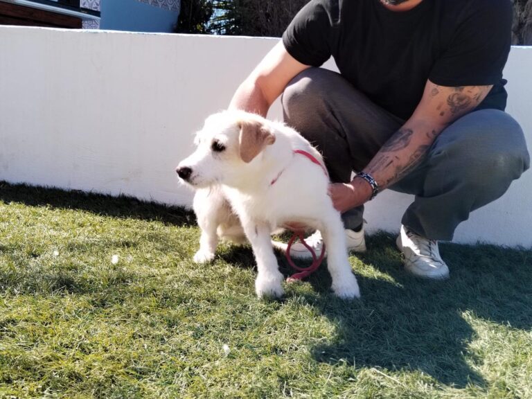 multimedia-foto93194-277-1