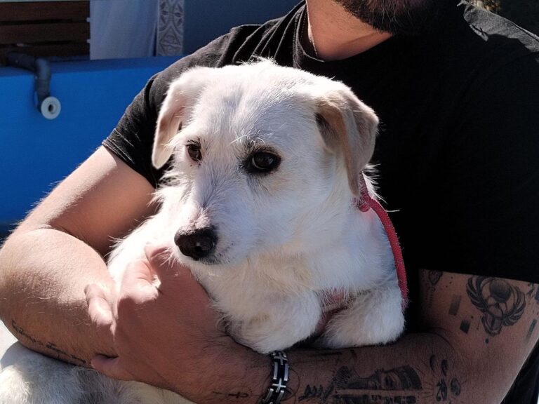 multimedia-foto93195-277-1