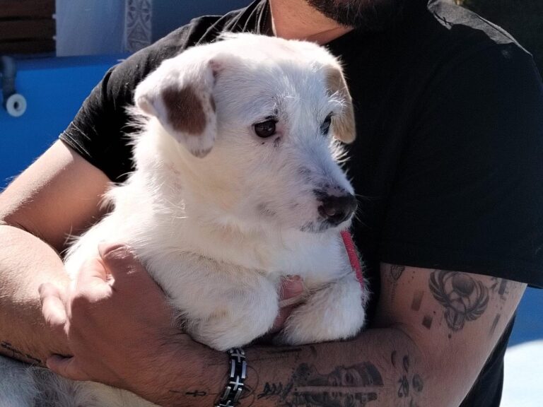 multimedia-foto93196-277-1