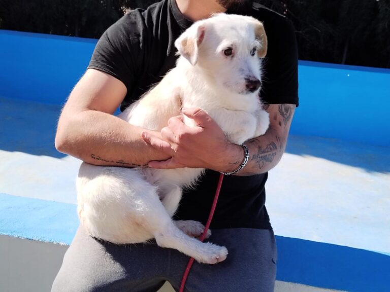 multimedia-foto93197-278-1