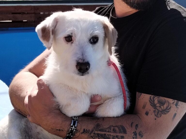 multimedia-foto93198-278-1