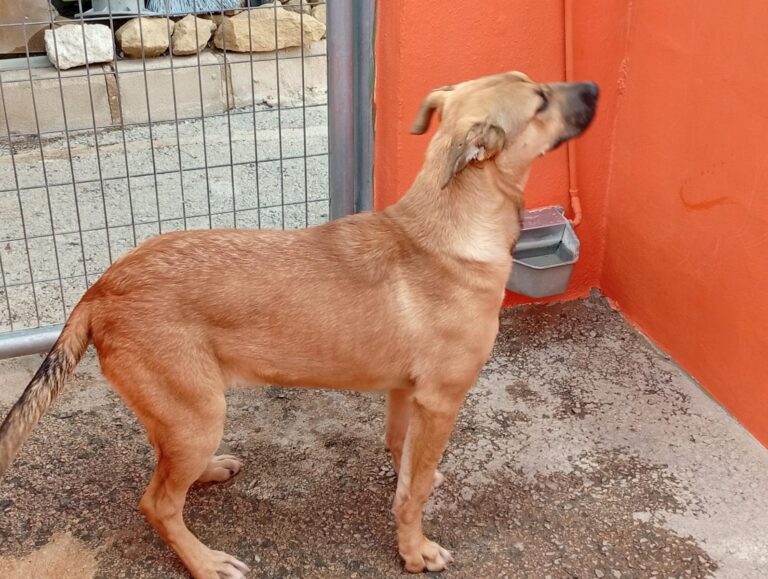 multimedia-foto93206-98-1