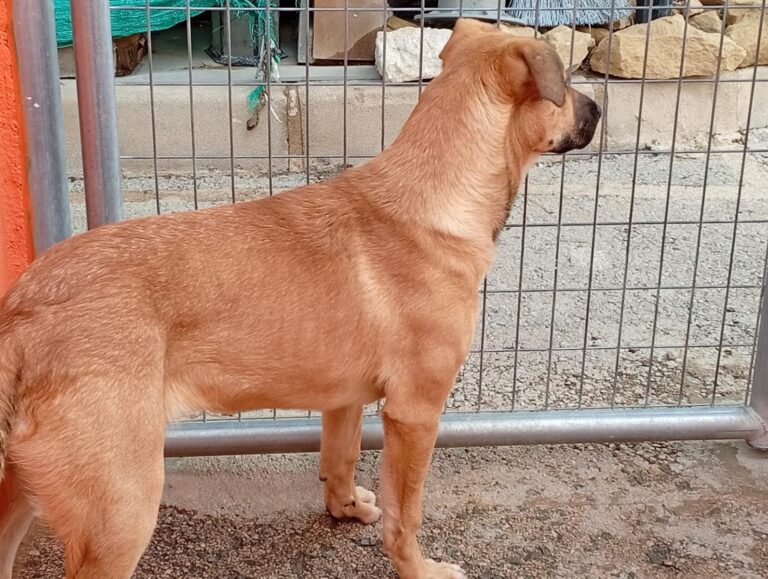 multimedia-foto93207-98-1