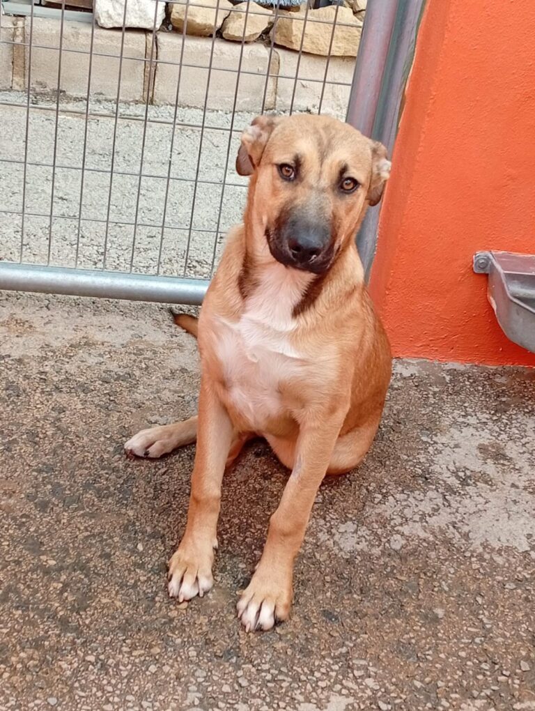 multimedia-foto93208-98-1