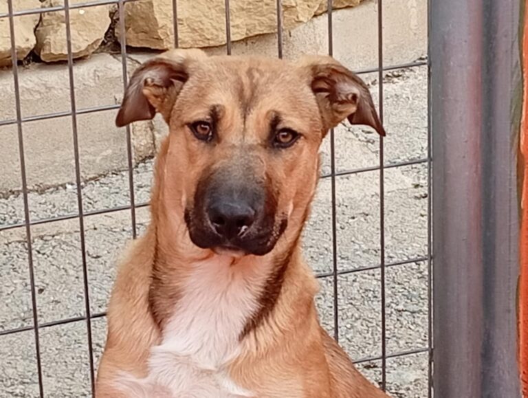 multimedia-foto93209-98-1