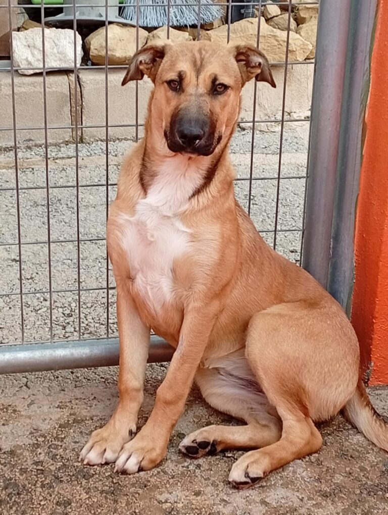 multimedia-foto93210-99-1