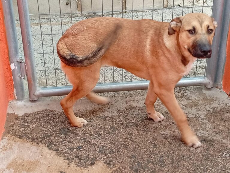 multimedia-foto93211-99-1