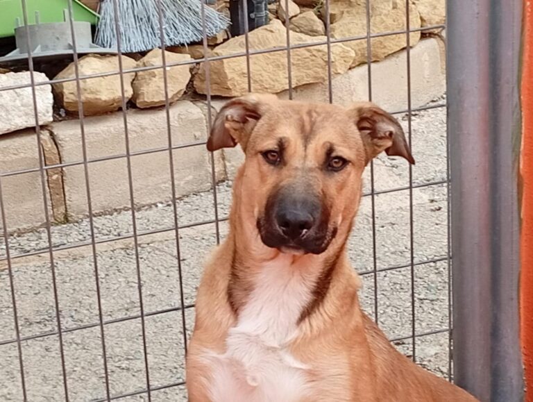 multimedia-foto93212-99-1