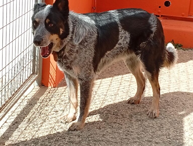 multimedia-foto93213-412-1