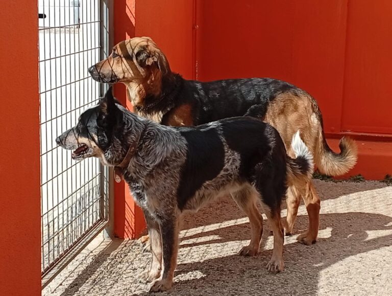 multimedia-foto93214-413-1