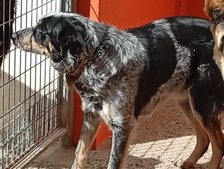 multimedia-foto93216-413-1