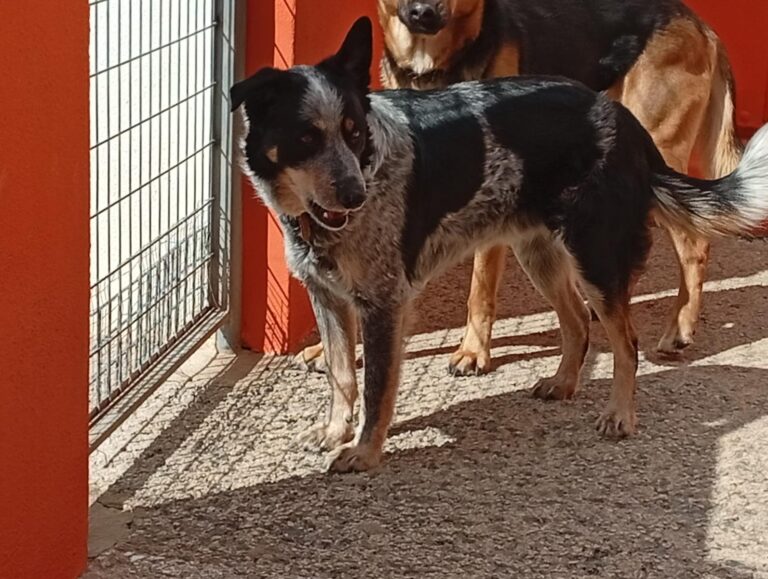 multimedia-foto93218-414-1