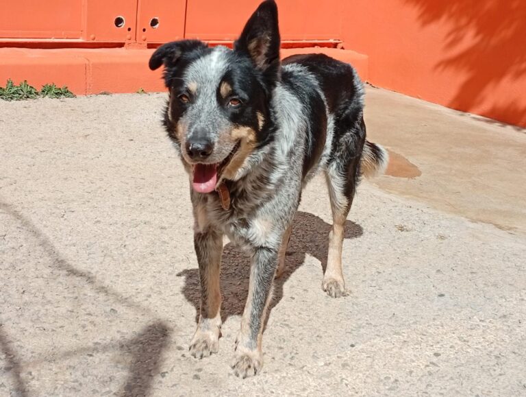 multimedia-foto93219-414-1