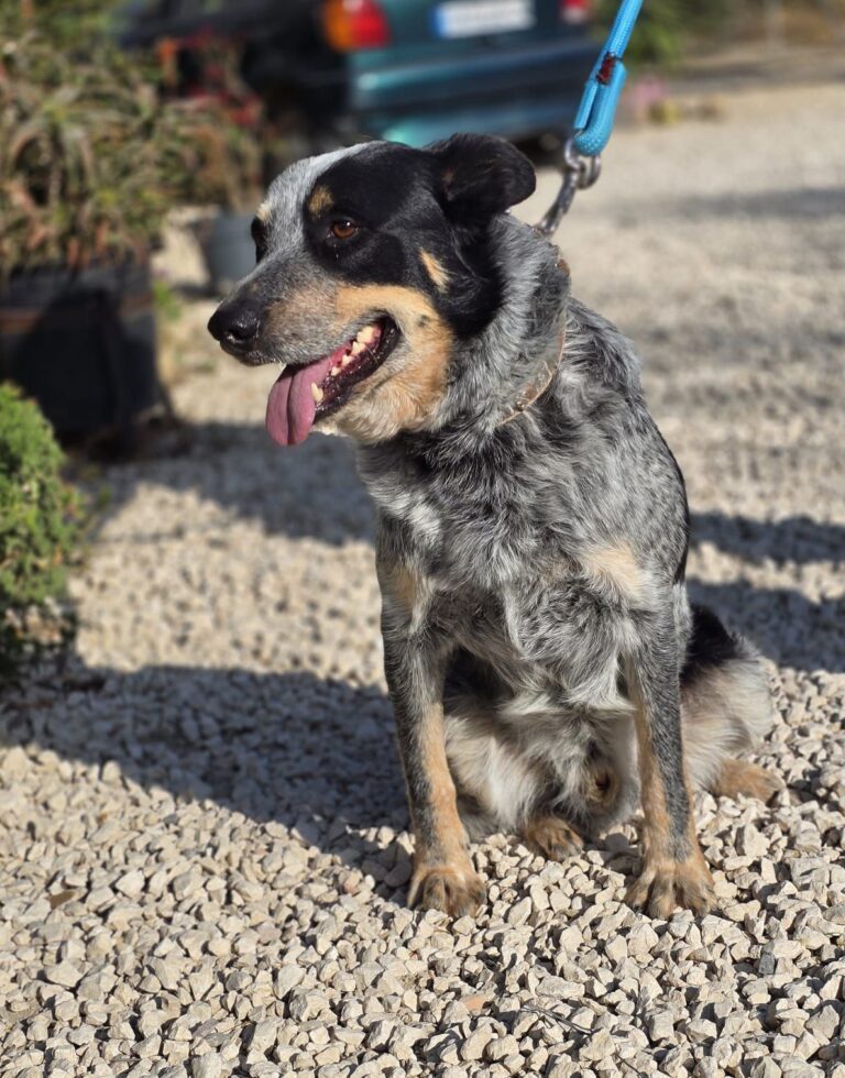 multimedia-foto93220-215-1